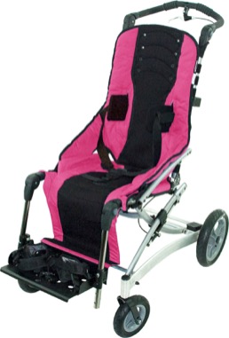 buggies for disabled adults
